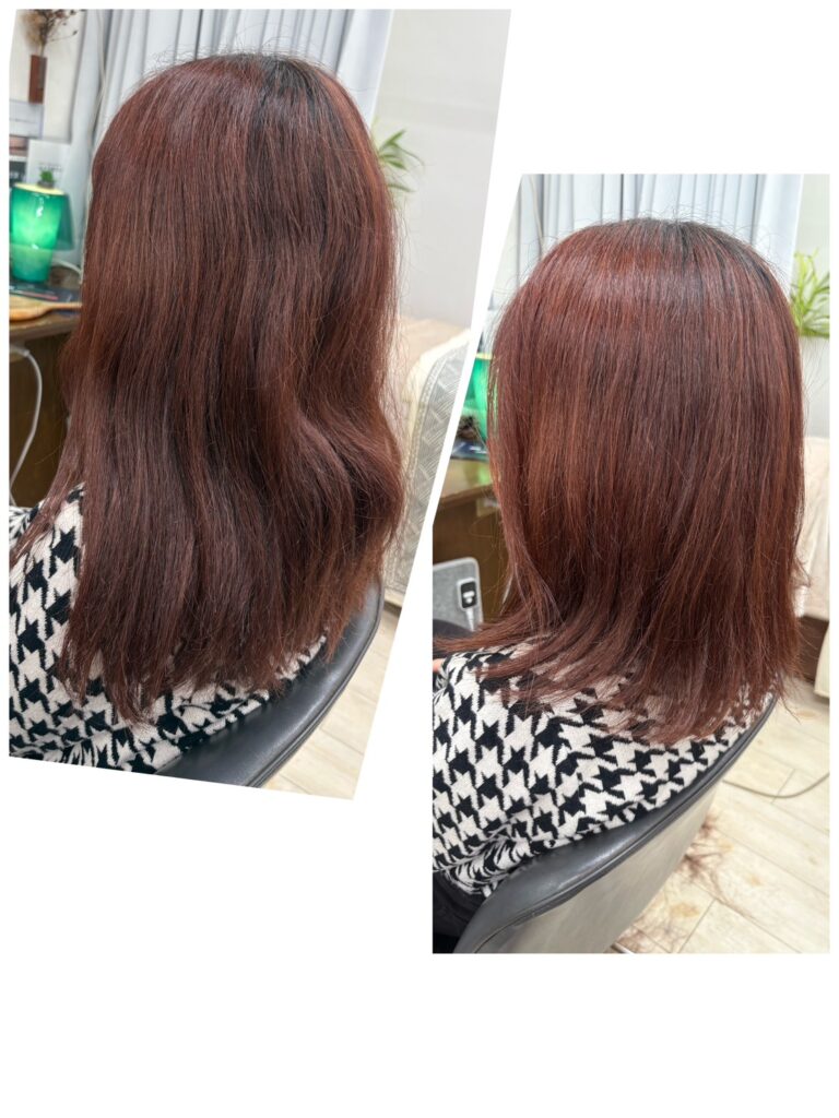 ミディアムレイヤー