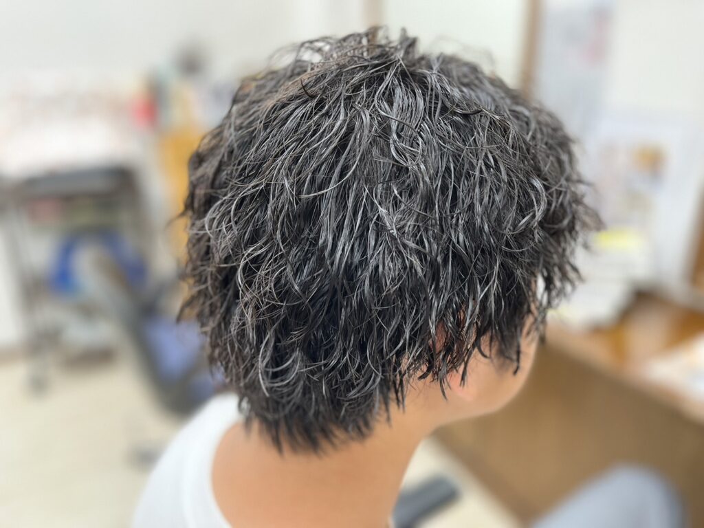 ご新規！ツイストスパイラル（マレーアレナータ）